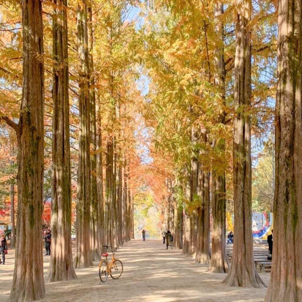 Nami Island
