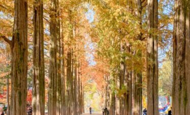 Nami Island