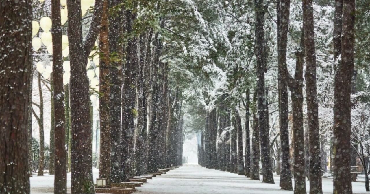 Top Day Trips Near Seoul Loved by International Travelers