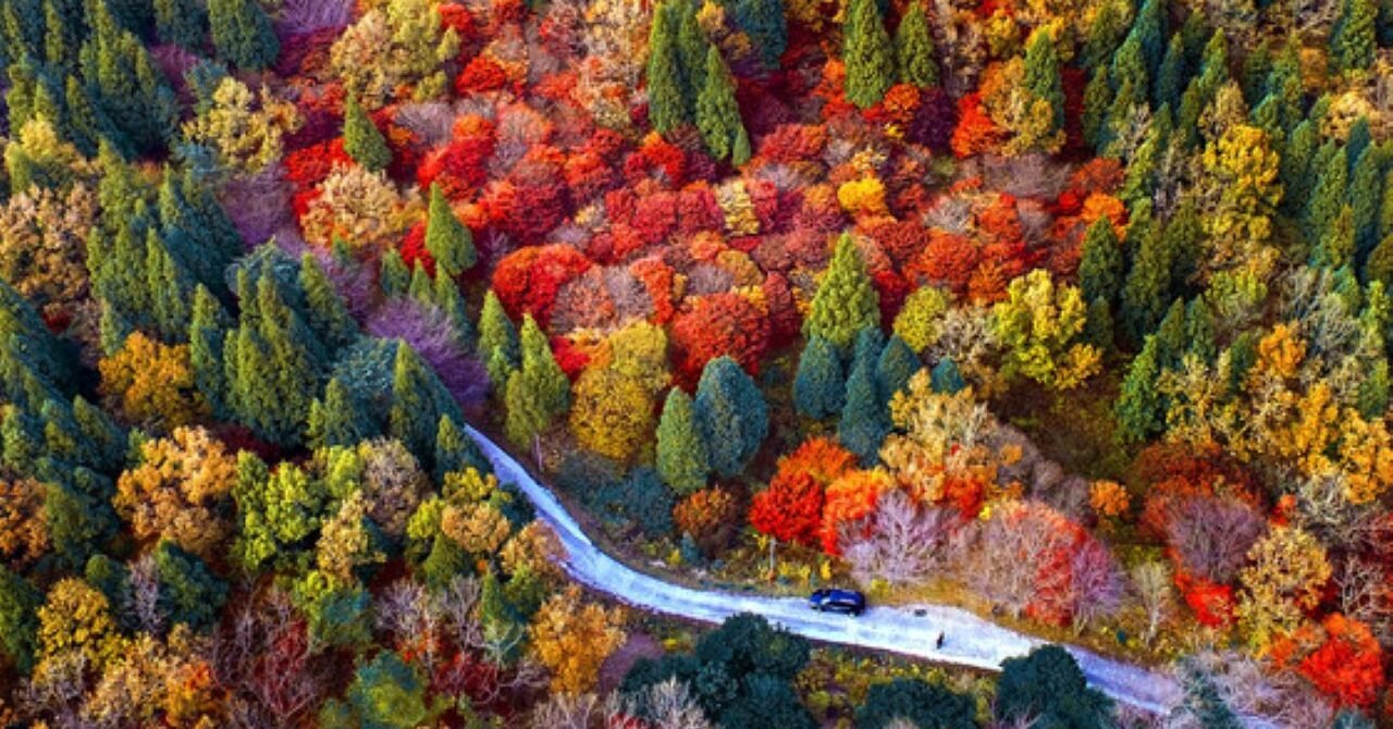 Mt. Seoraksan Day Tour: What to Expect 2 Mt. Seoraksan Day Tour: What to Expect